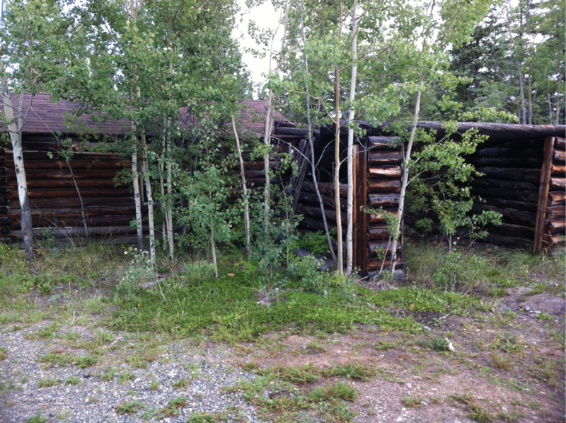 Abandoned Cabin