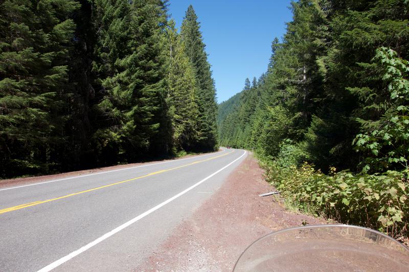 Forest roads.