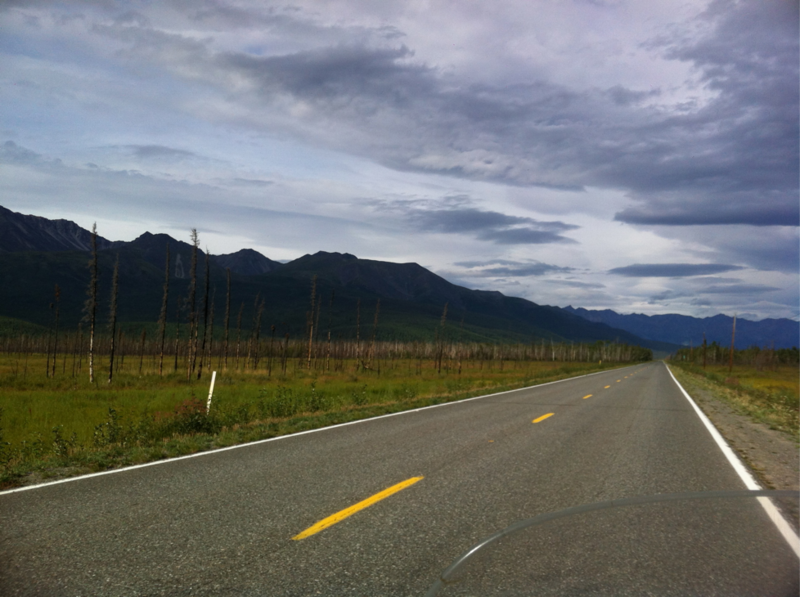 Forest Fire Aftermath Alaska Highway