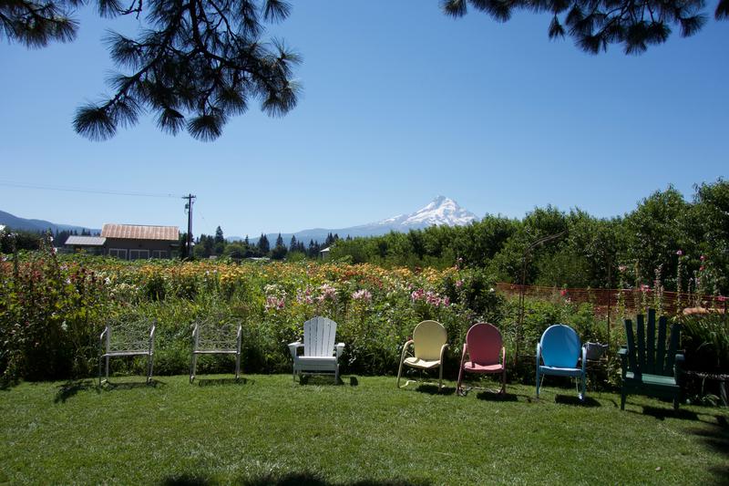 Neat backyard!